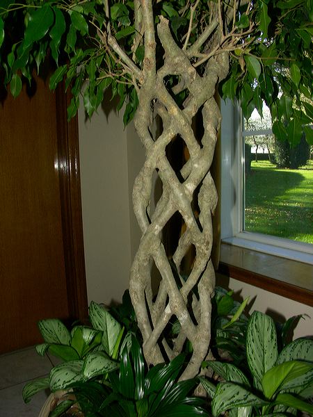pict6687.jpg