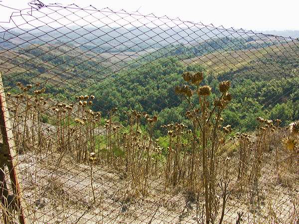pict3485.jpg