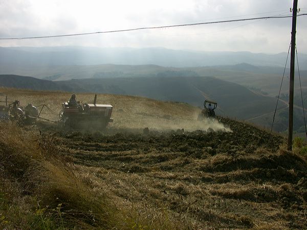 pict2874.jpg
