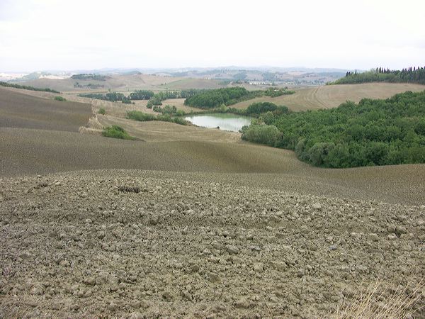 pict3325.jpg