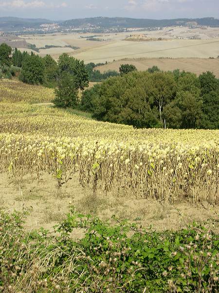 pict3537.jpg