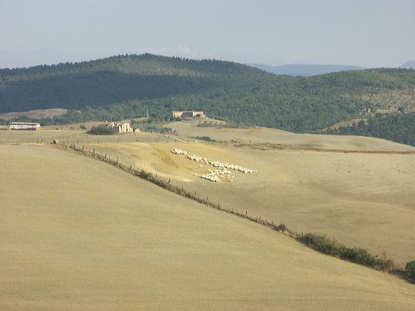 pict3567.jpg