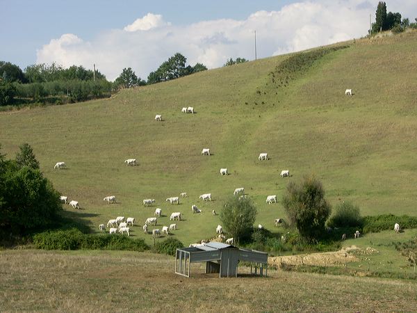 pict3630.jpg