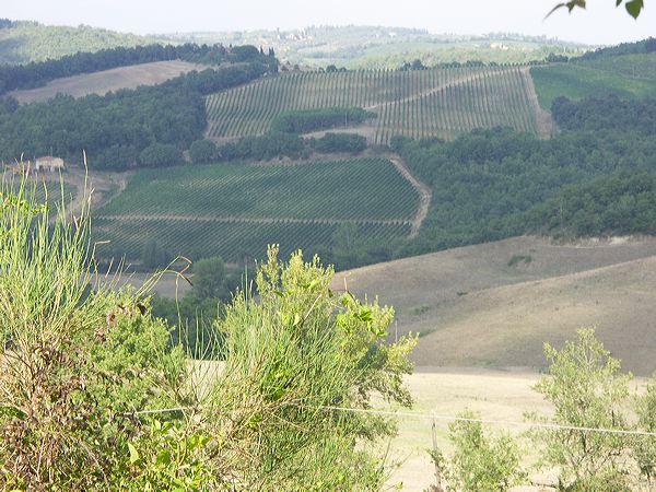 pict3638.jpg