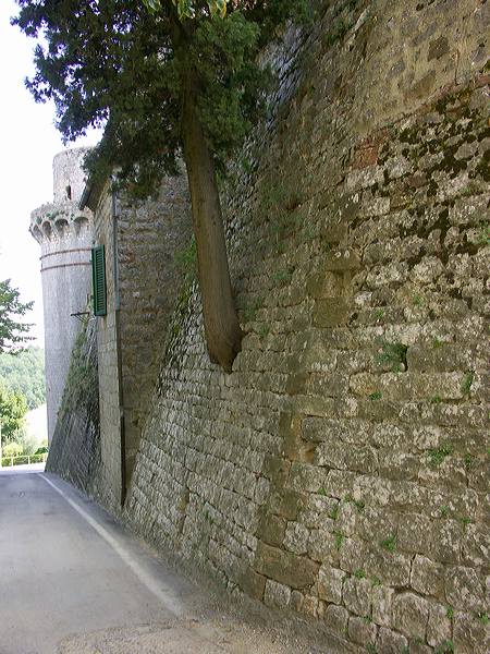pict3629.jpg