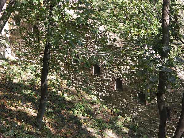 pict4962.jpg
