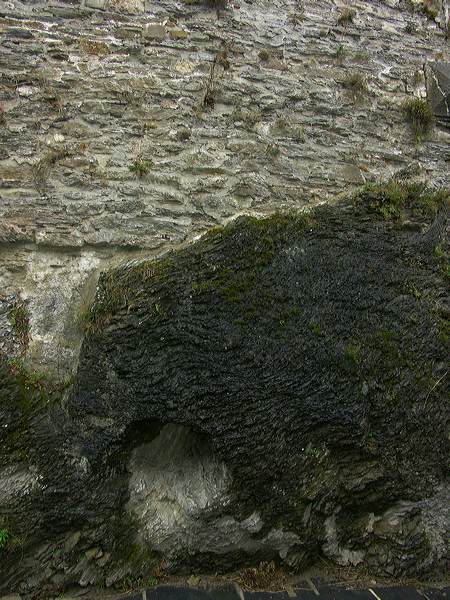 pict6264.jpg