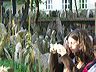 pict4413
