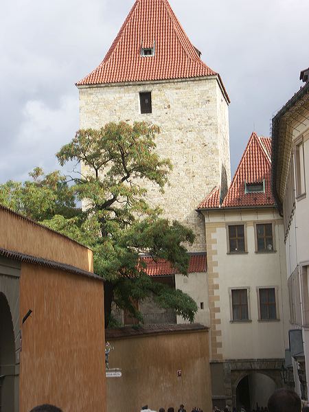pict4097.jpg