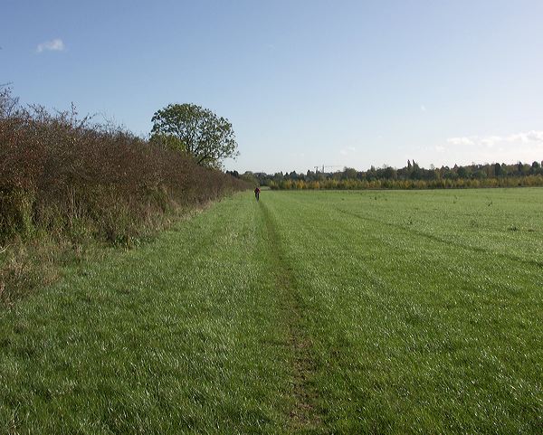 pict6651.jpg