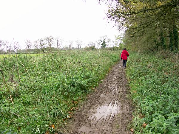 pict7292.jpg
