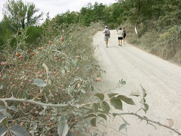 pict2925.jpg