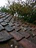 pict7321