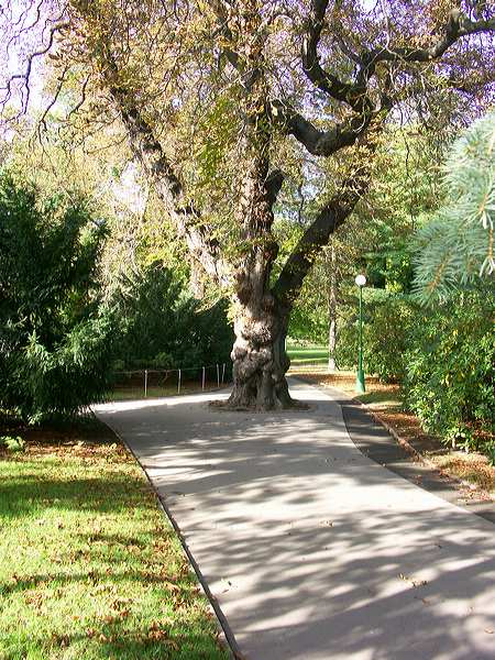 pict4456.jpg