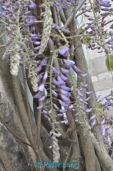 dsc_6613.jpg