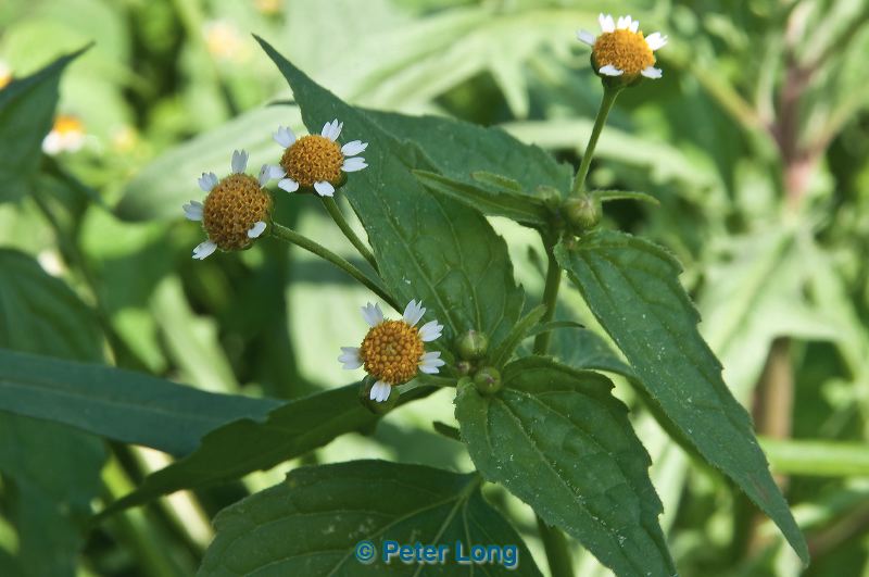dsc_0317.jpg