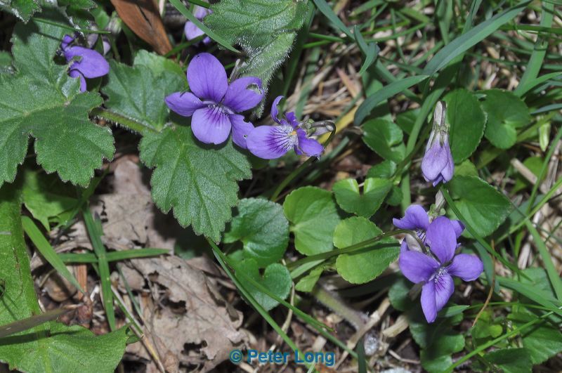 dsc_5676.jpg