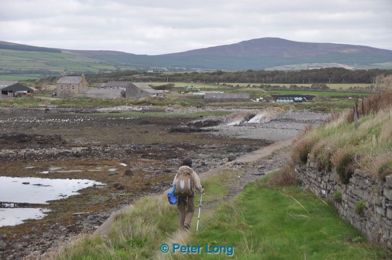 dsc_0075.jpg