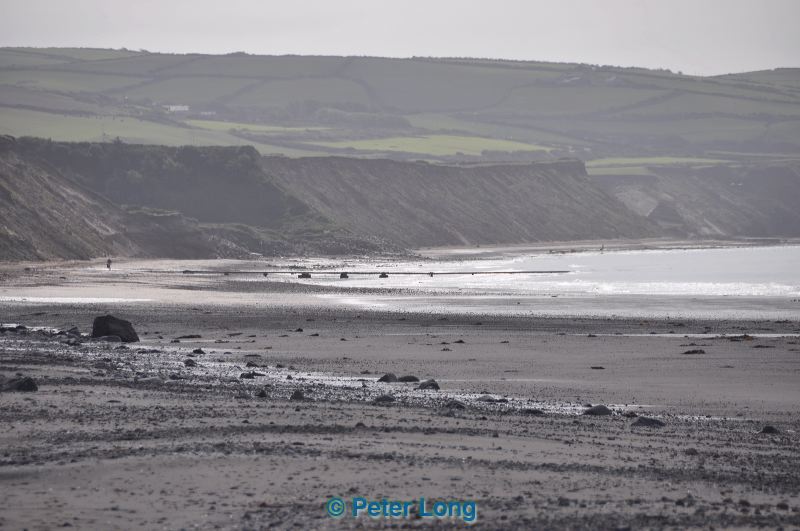 dsc_0646.jpg