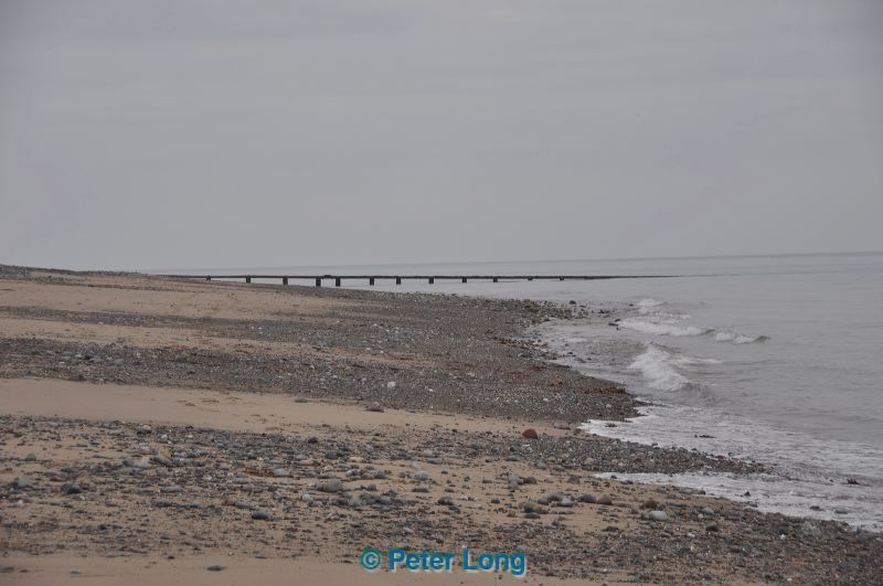 dsc_0754.jpg