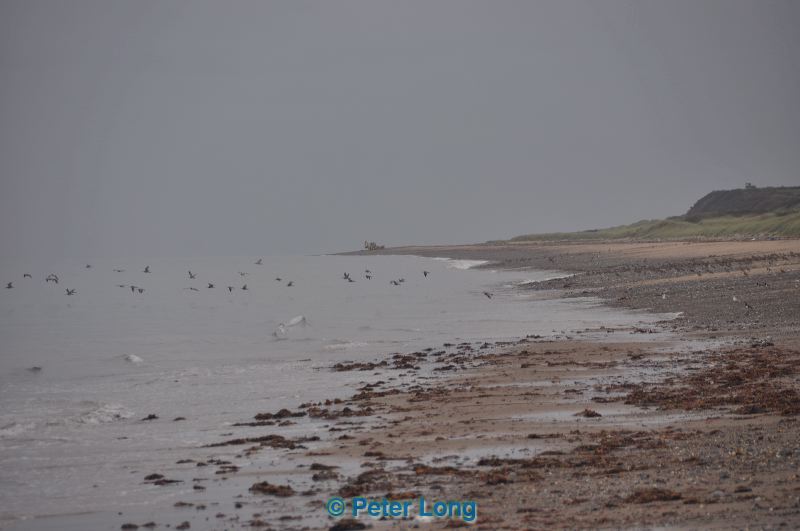 dsc_0763.jpg