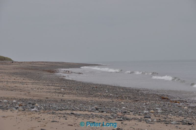 dsc_0765.jpg