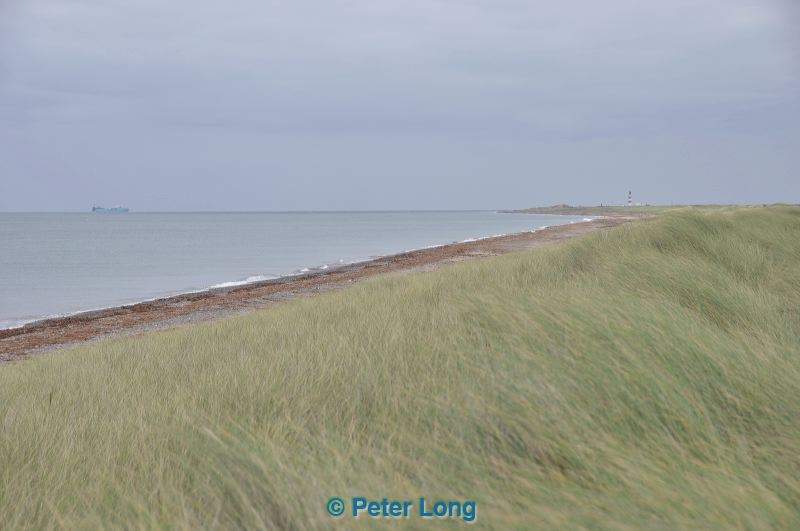 dsc_0859.jpg