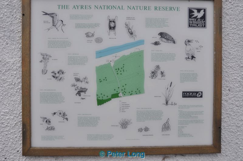 dsc_0865.jpg