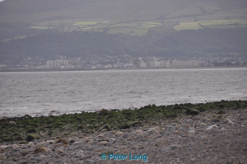 dsc_0927.jpg