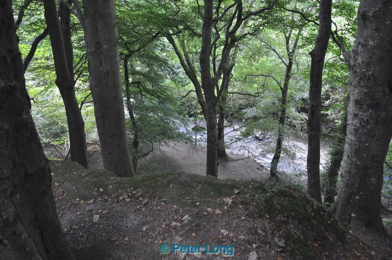 dsc_1242.jpg