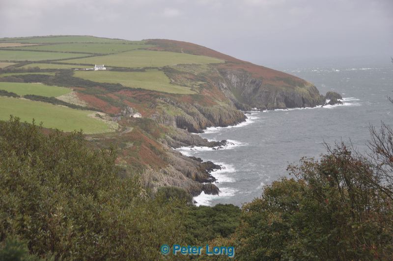 dsc_1426.jpg