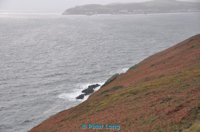 dsc_1432.jpg