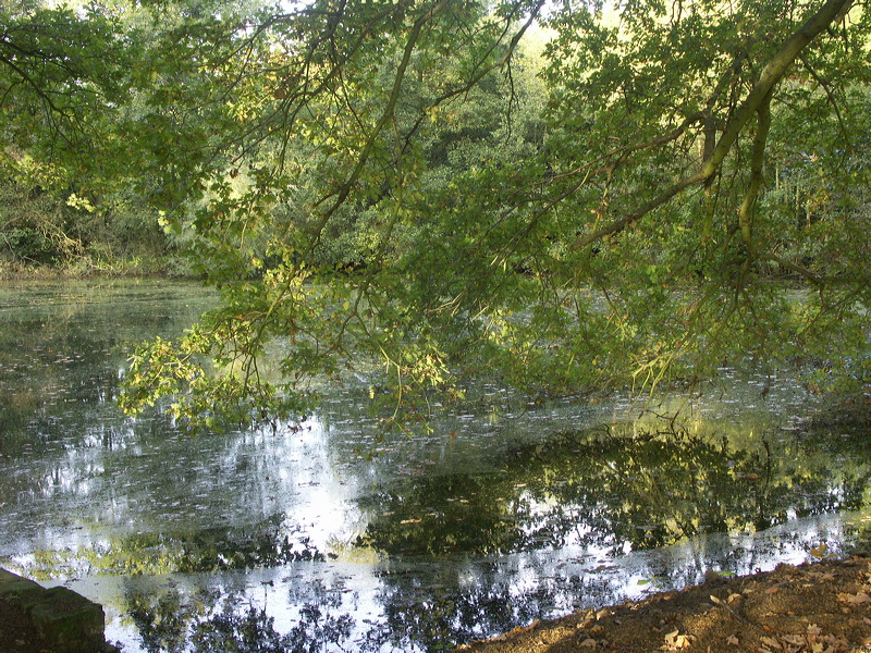 pict9377.jpg