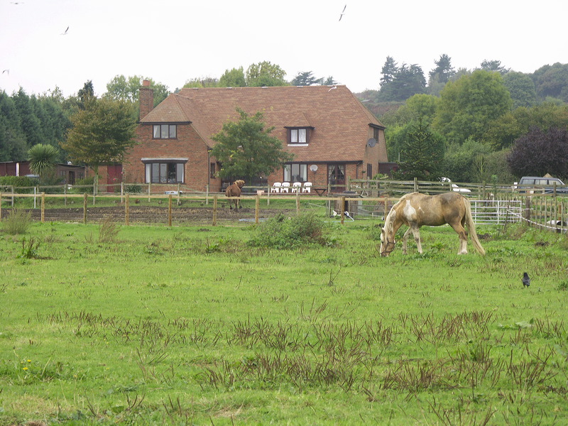 pict9012.jpg
