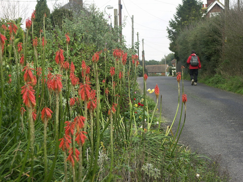 pict9046.jpg