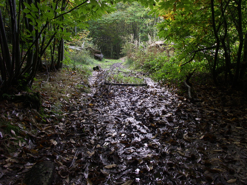 pict9074.jpg