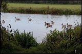 dsc_1069