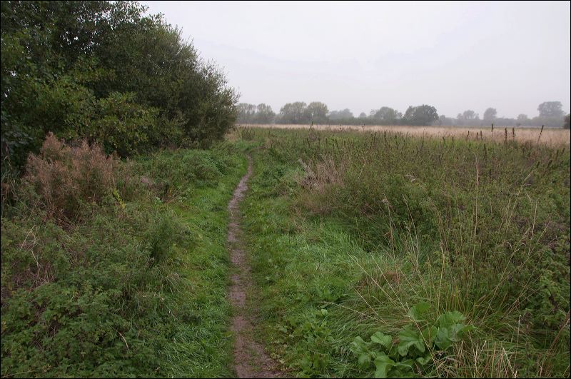 dsc_1554.jpg