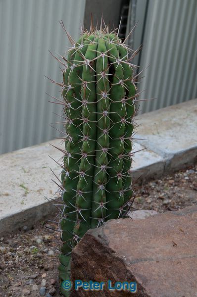 dsc_1416.jpg