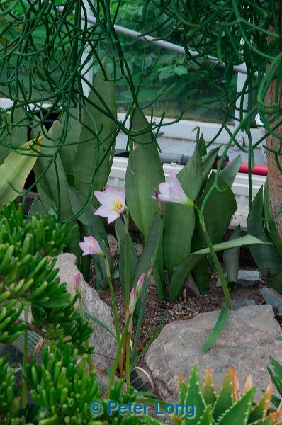 dsc_3538.jpg