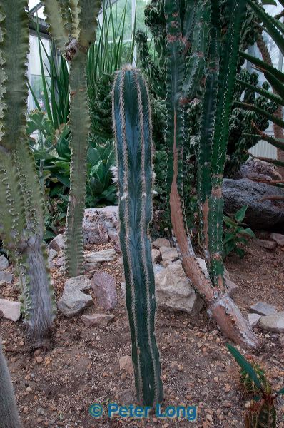 dsc_3591.jpg