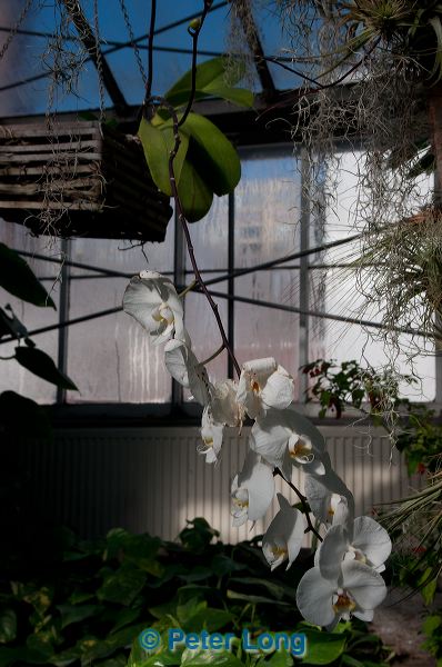 dsc_4959.jpg