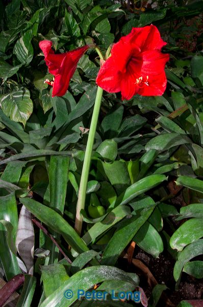 dsc_5736.jpg