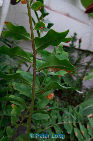 dsc_1696.jpg