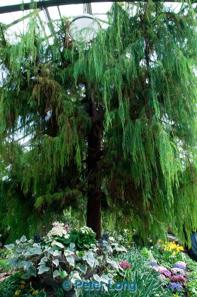dsc_8804.jpg