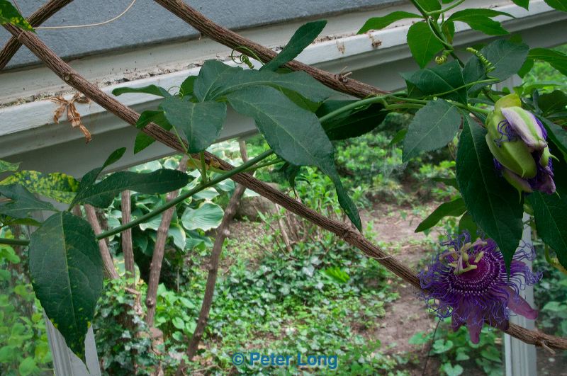 dsc_3519.jpg