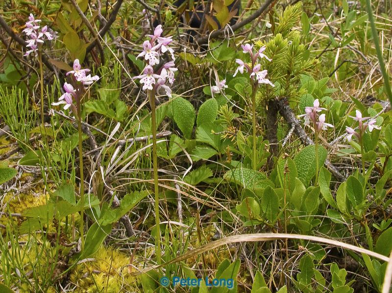 0032224_p3094.jpg