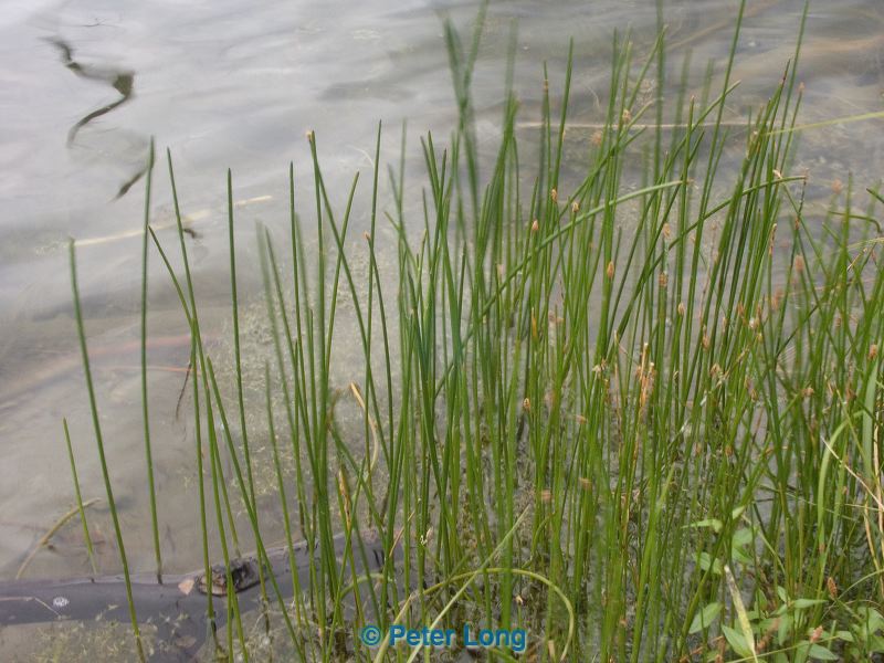 pict0411.jpg