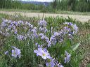 img_1649