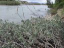 img_1655